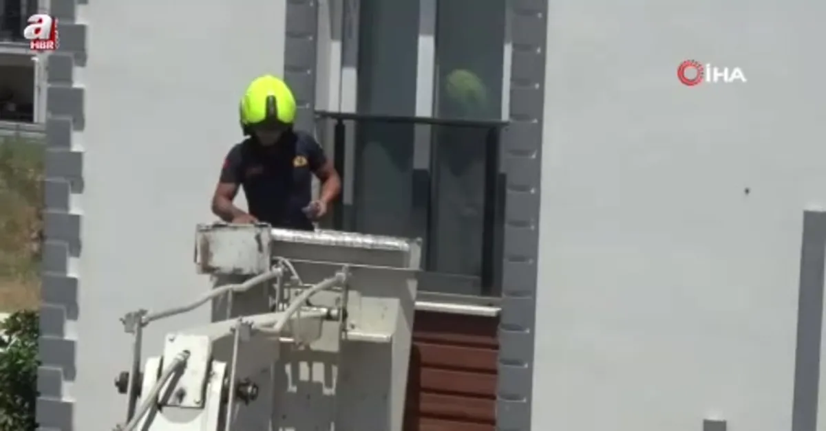 İtfaiyeden kuş operasyonu