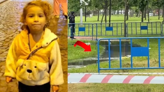 13 ilde çalışmalar başlıyor! Başkan Erdoğan: Karadeniz’de sel riski azalacak