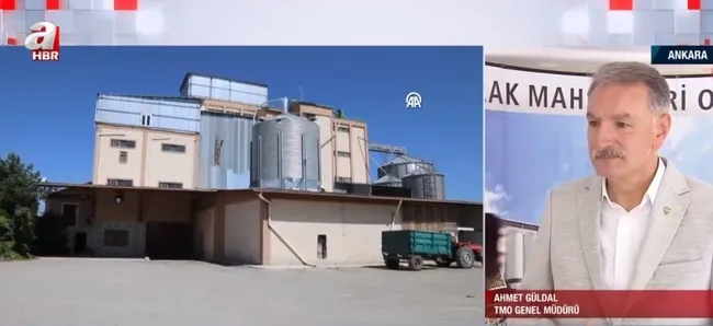 Tarlada hasat sezonu sürüyor! TMO randevu sisteminde bir sorun var mı?