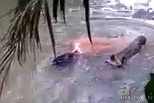 Dev timsah nehirde yüzen adamı parçaladı! Serinlemek için girdiği yerde feci şekilde can verdi | Allah ölümün bile hayırlısını versin 22