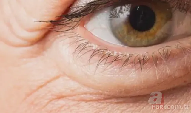 Kurban etinden Adana kebap tarifi! Ustası A Haber’e anlattı, işte o tarif 71