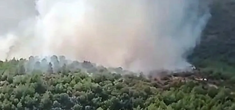 İzmir'de korkutan orman yangını İzmir'de korkutan orman yangını
