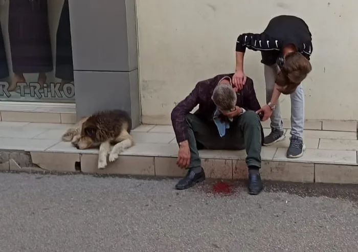 Vefakâr köpek kanlar içinde kalan sahibinin başından ayrılmadı - 4