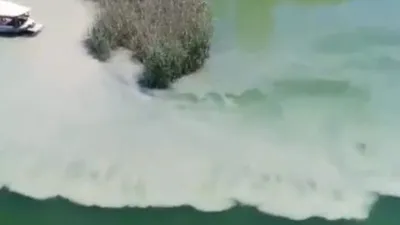 Dalyan kanalının rengi değişti