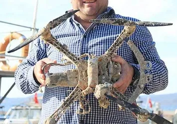 Balıkçı ağına 'drone' takıldı