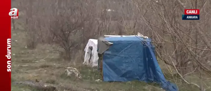 Son dakika: Yine Ankara yine köpek katliamı! - 3