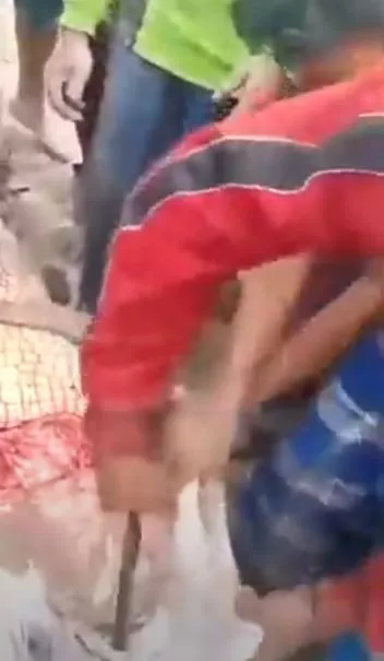 Timsahın karnından insan çıktı! Kan donduran anlar böyle görüntülendi...