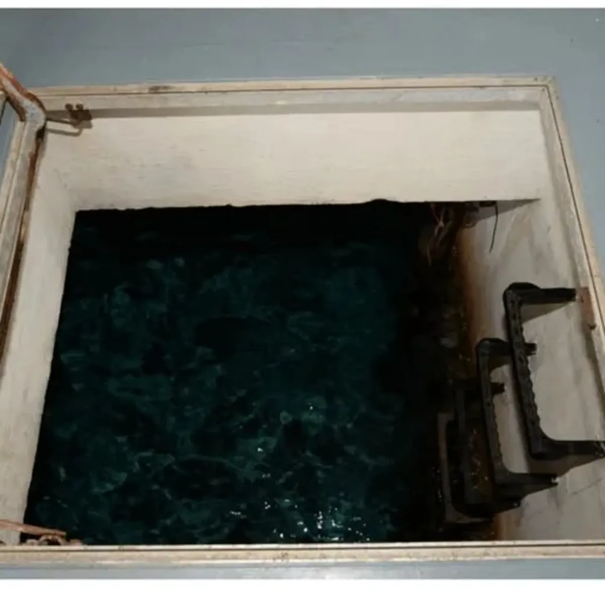 Epstein’ın Ölüm Adasındaki sır kapısı: Cesetler denize mi atıldı?