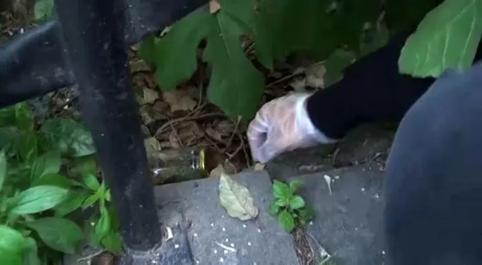 son-dakika-istanbulda-uyusturucu-operasyonu-sarkici-kalben-gozaltina-alindi-1715168654415.jpg Şarkıcı Kalben'in ilk ifadesi ortaya çıktı! Uyuşturucu operasyonunda gözaltına alındı! İşte o görüntüler... - 5