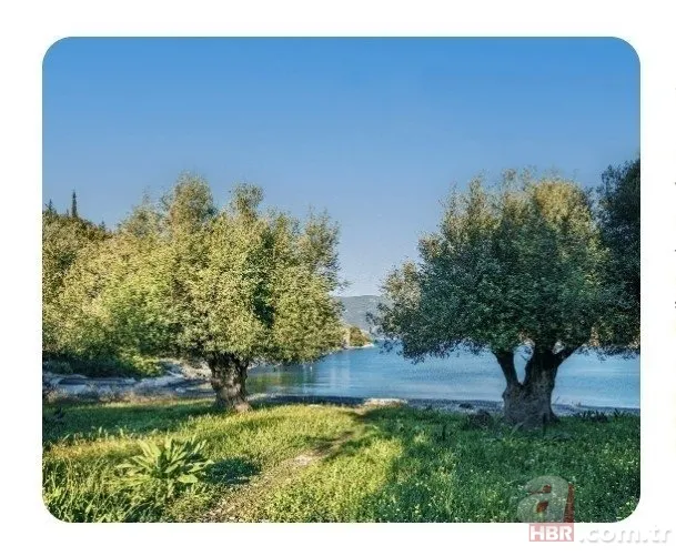 VClub dosyasına inceleme! Ticaret Bakanlığı harekete geçti | Okan Bayülgen'li reklamlara yasak 8