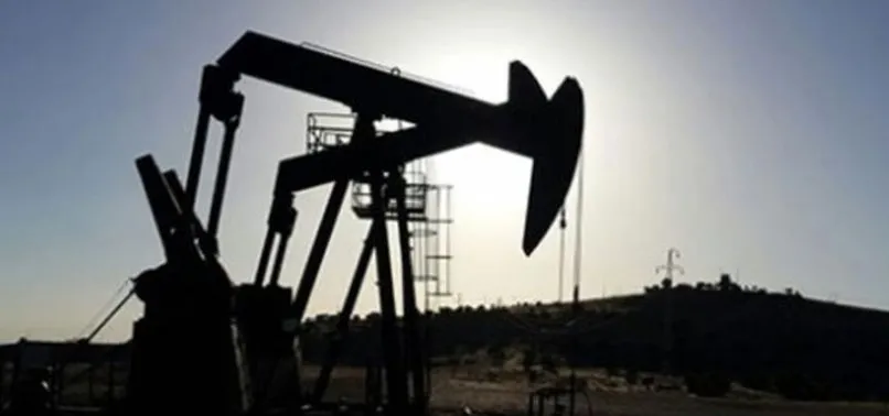 DİYARBAKIR'DA PETROL BULUNDU!