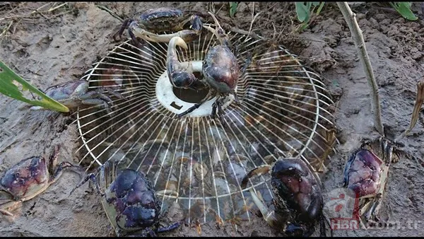 Erzincan'da eksi 20 derecede buzun altında balık avı! Onlarca balığı elleriyle böyle yakaladı: Güzel bir balık tutma tekniği 21