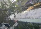 Binaya girerken ağaç devrildi! Saniyelerle kurtuldu