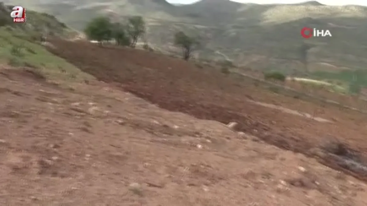 Batman’da Traktörün giremediği tarlalar atla sürülüyor