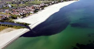 Çevreciler katliama sessiz kaldı