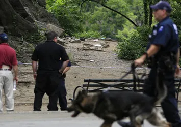 Central Park'ta taciz alarmı verildi