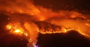 Orman yangınlarının çıkış sebebi sabotaj mı doğal yollar mı?