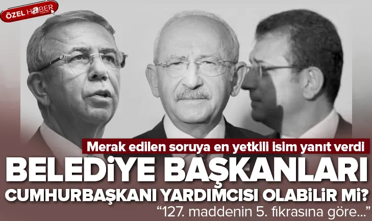 İYİ Parti’nin formülü Anayasa’ya aykırı