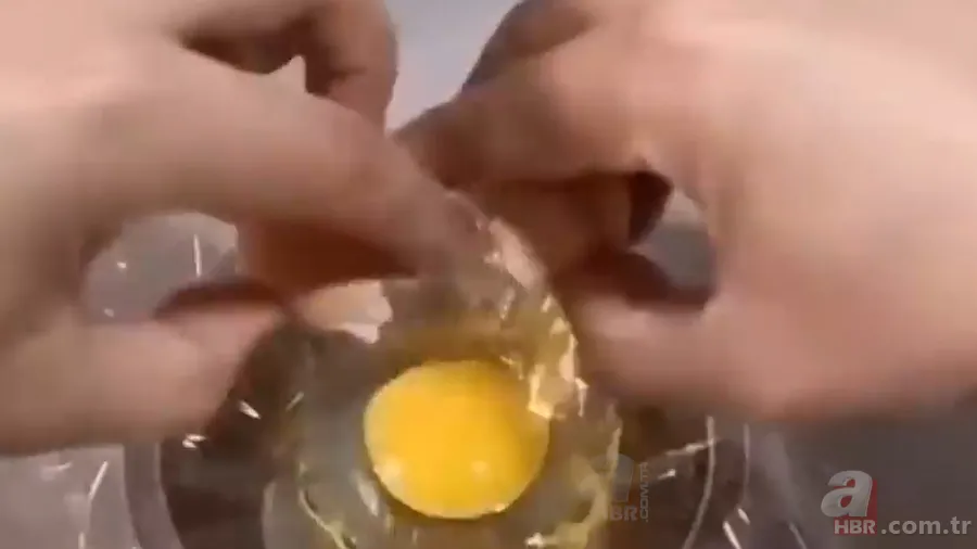 İşte civcivin yumurta içindeki gelişimi 🐣 İğne ile enjekte etti gün gün görüntüledi 🥚 10