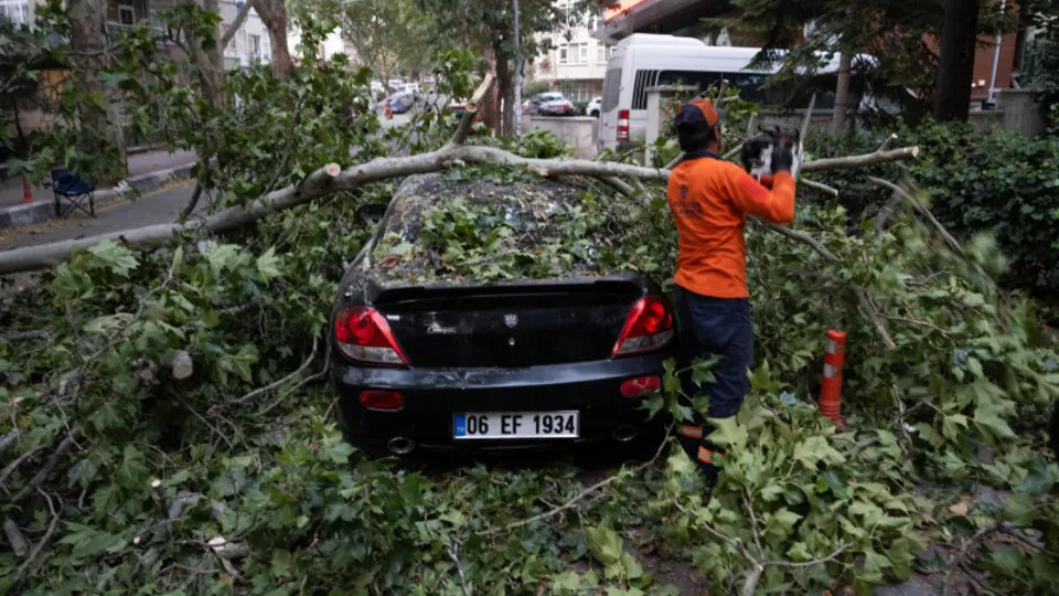 Ankara'da kuvvetli rüzgar! Ağaçlar devrildi, binaların çatıları uçtu