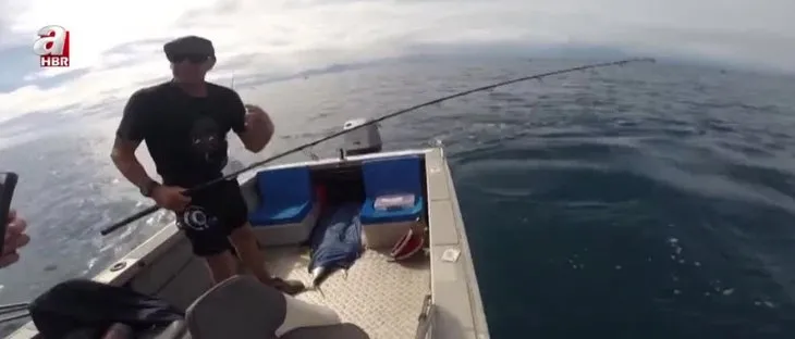 Köpek balığından balıkçıya tokat! Neye uğradığını şaşırdı