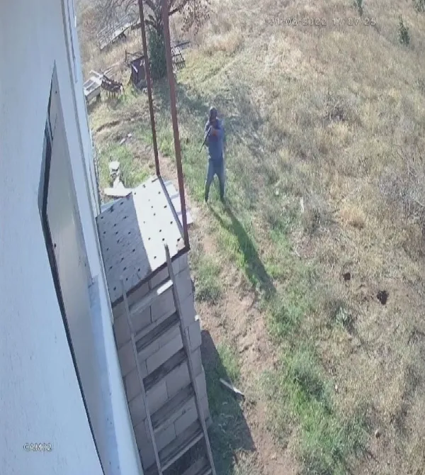 balikesirde-ciftlikte-dehset-2-kopegi-tufekle-katlettiler-2-kopegi-de-zehirlediler-1662704722908.jpg Balıkesir’de çiftlikte dehşet! 2 köpeği vurdular 2’sini zehirlediler - 2