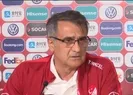 Şenol Güneşten flaş İzlanda açıklaması