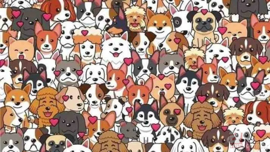 Zeka testi: Köpeklerin arasındaki yavru kedi nerede? 1166 kişiden 33'ü bulabildi 2