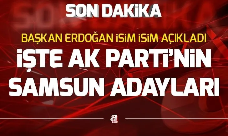 Son dakika: Başkan Erdoğan'dan Samsun'da anlamlı karar - 6