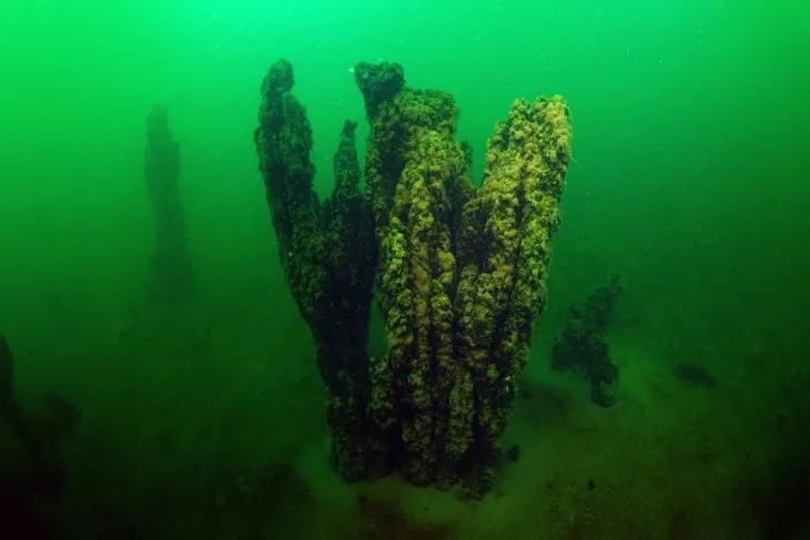 Van Gölü’nde 20 metrelik dikitler bulundu