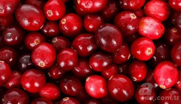 Kilo vermenizi sağlayacak yiyecekler 9