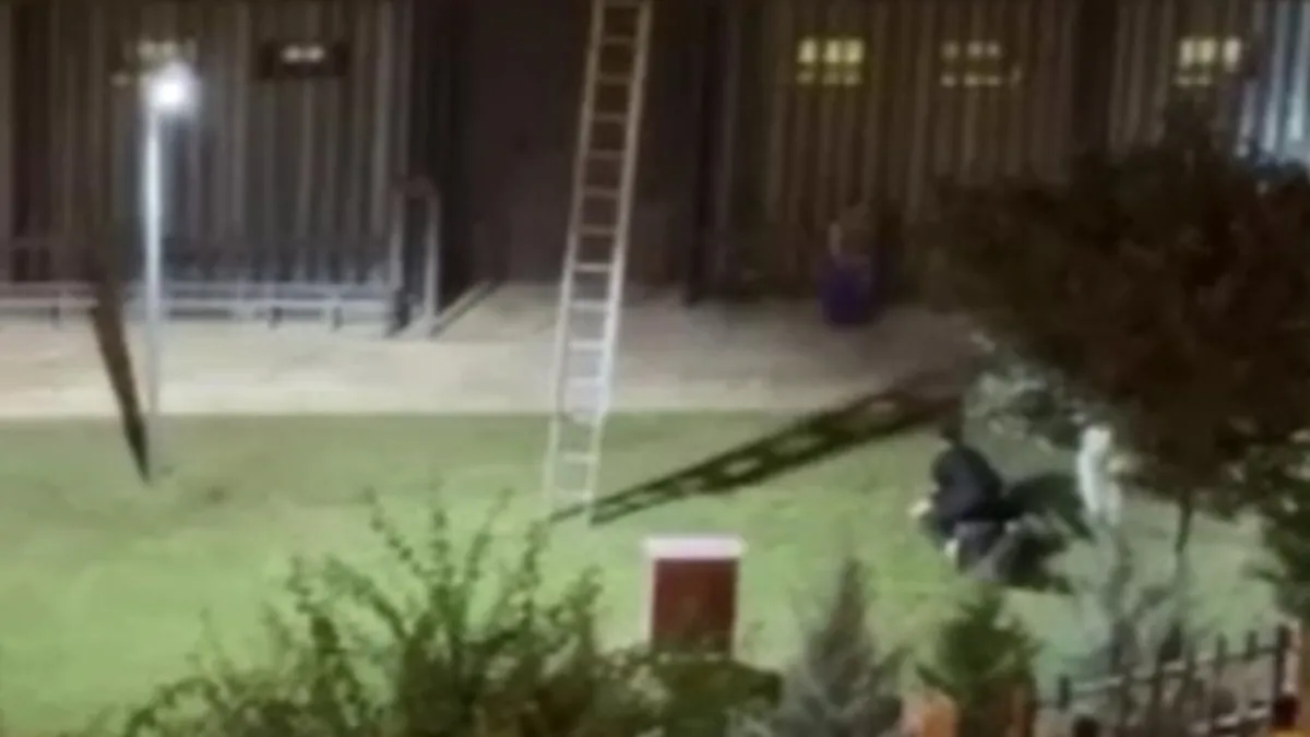 Konserde gençleri darp eden özel güvenlik için karar çıktı! Tutuklandı