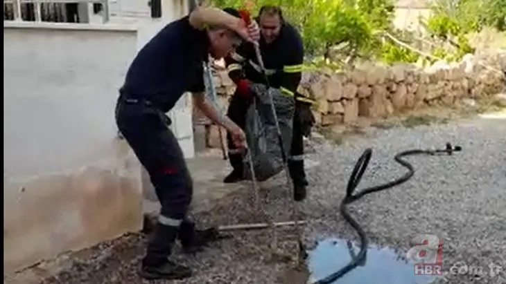 Kırıkkale'de 2 metrelik yılanı görünce ne yapacaklarını şaşırdılar! 🐍