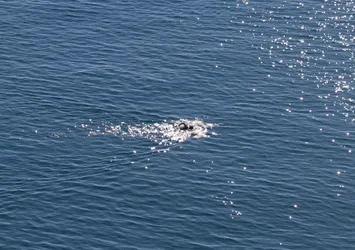 Antalya'da vatandaşların deniz keyfi: 20 dereceyi görüd