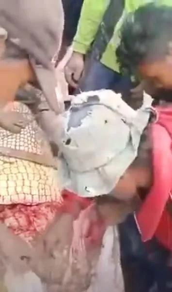 Timsahın karnından insan çıktı! Kan donduran anlar böyle görüntülendi...