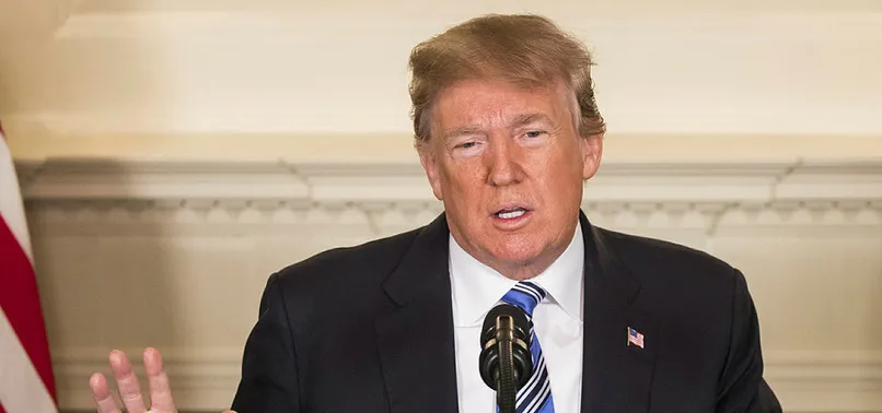ABD'den Trump'a tokat gibi Suriye çağrısı