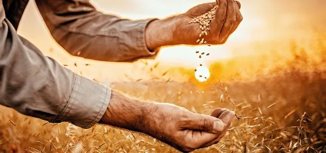 Türkiye dünyayı bekleyen tahıl krizinden etkilenmeyecek! Depoların yüzde 80’i dolu