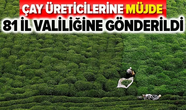 Son dakika: İçişleri Bakanlığı’nda 81 il valiliğine çay üreticileri için genelge