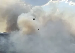 Manisa Kula'da orman yangını!