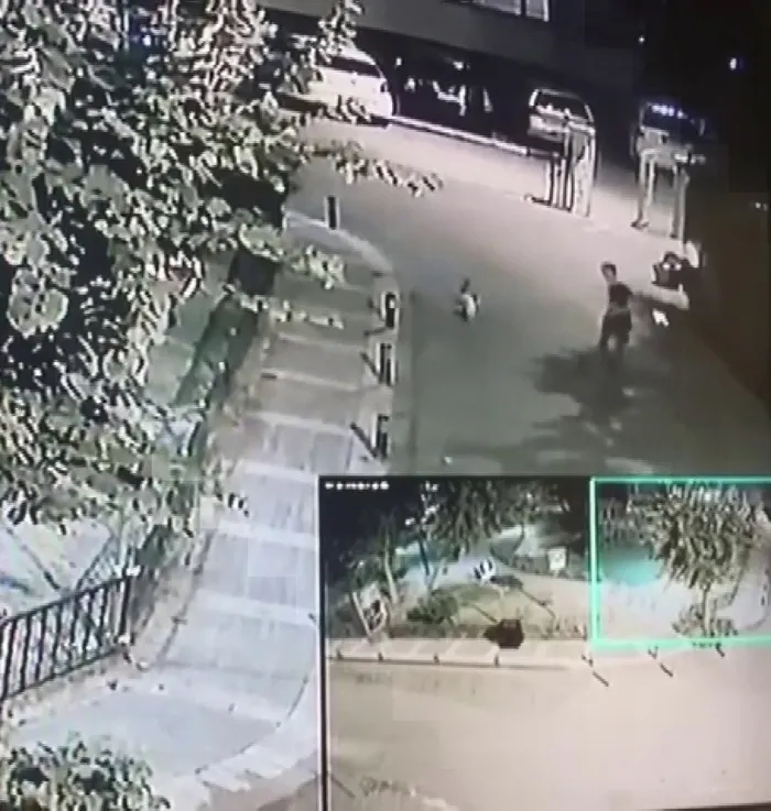 Kediyi tekmeleyip öldürmüştü! İstanbul'daki olayda son dakika gelişmesi - 1