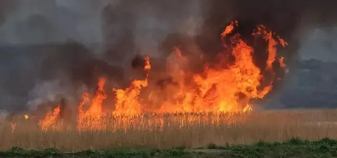 Gala Gölü Milli Parkı'nda sazlık yangını