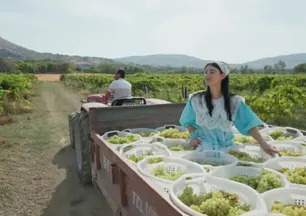 TRT Belgesel Benim Sakin Dünyam nerede çekiliyor, konusu ne?
