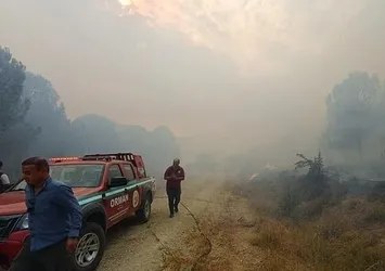Çanakkale’de çıkan orman yangını kontrol altına alındı