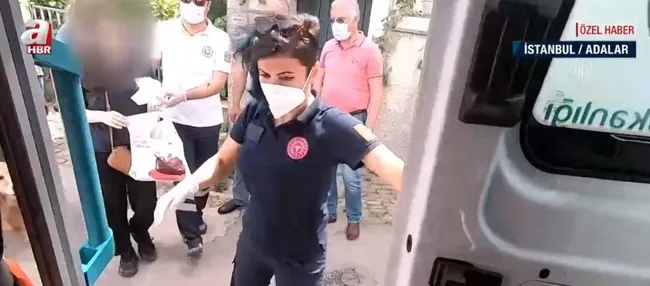 İstanbul’da yürekleri ısıtan görüntüler! Köpek ambulansı hastaneye kadar takip etti - 8