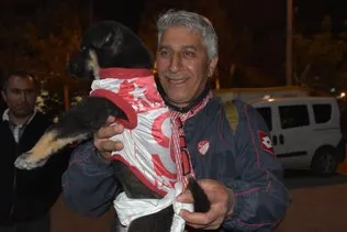 Sevimli köpek ’Zeytin’  maça formasıyla geldi! Türkiye Kupası finalinden renkli görüntüler