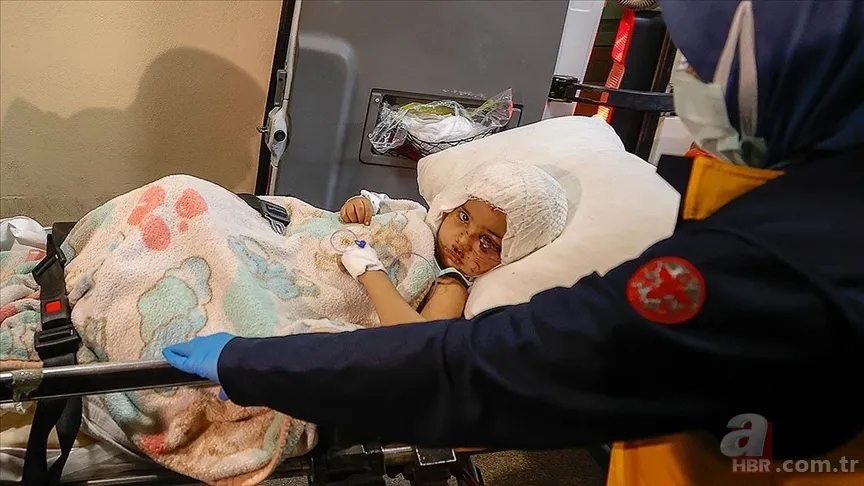 Türkiye'nin konuştuğu pitbull vahşetinde Asiye'nin ailesine bir şok daha! Dava açtılar | Doktoru açıkladı: Asiye'nin durumu nasıl? 18