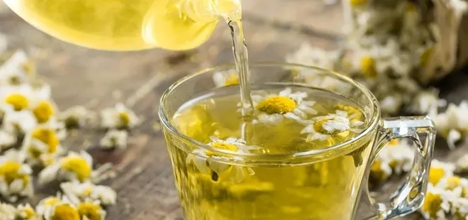 Papatya çayı neye iyi gelir? İşte bilinmeyen faydaları...