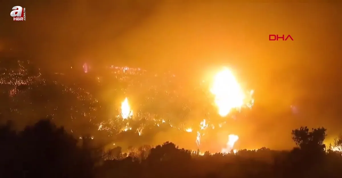 Sakız Adası’nda orman yangını