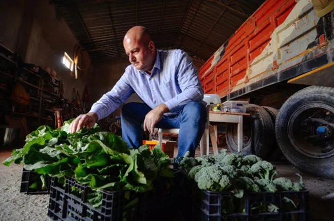 Konya'da salgında hobi amaçlı sera kuran mühendis, şimdi talebe yetişemiyor - 1