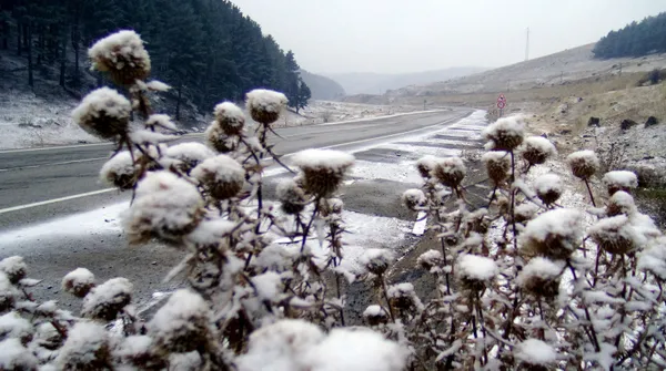 1668670751525.jpg Meteoroloji 5 günlük hava durum raporunu yayınladı! Soğuk hava dalgası donduracak | Kar, fırtına ve sağanak | İstanbul dahil 39 ile sarı kodlu uyarı - 1